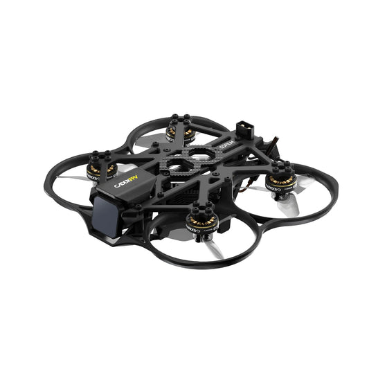 CaddxFPV Gofilm 20 + Walksnail Avatar HD Goggles X