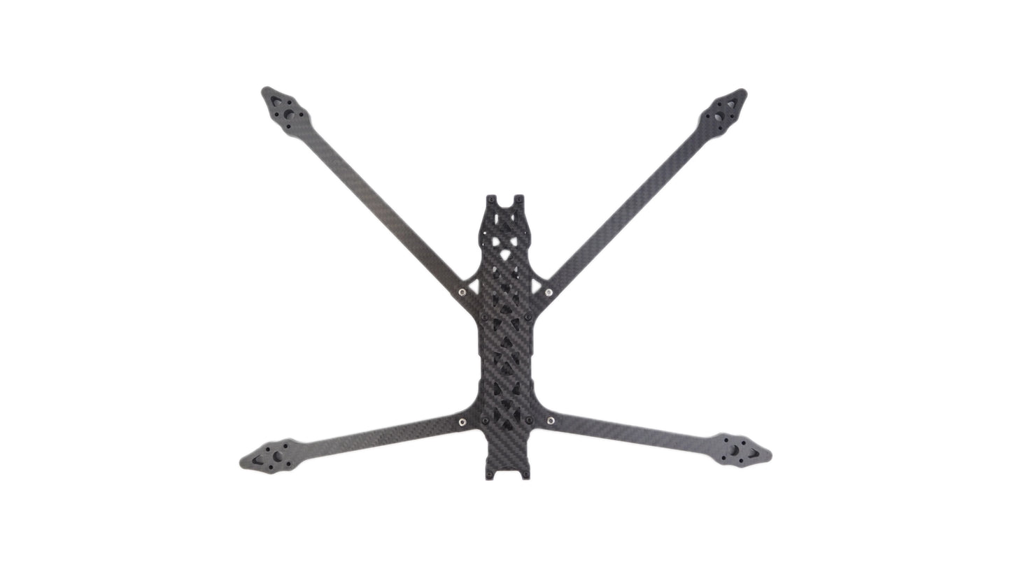 Partizan Rocky 10" SE Frame
