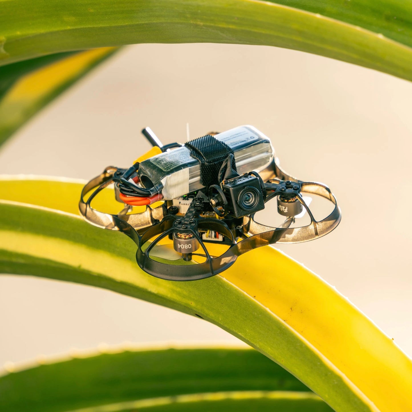 NewBeeDrone AcroBee75 HD O4 Pusher BNF ELRS